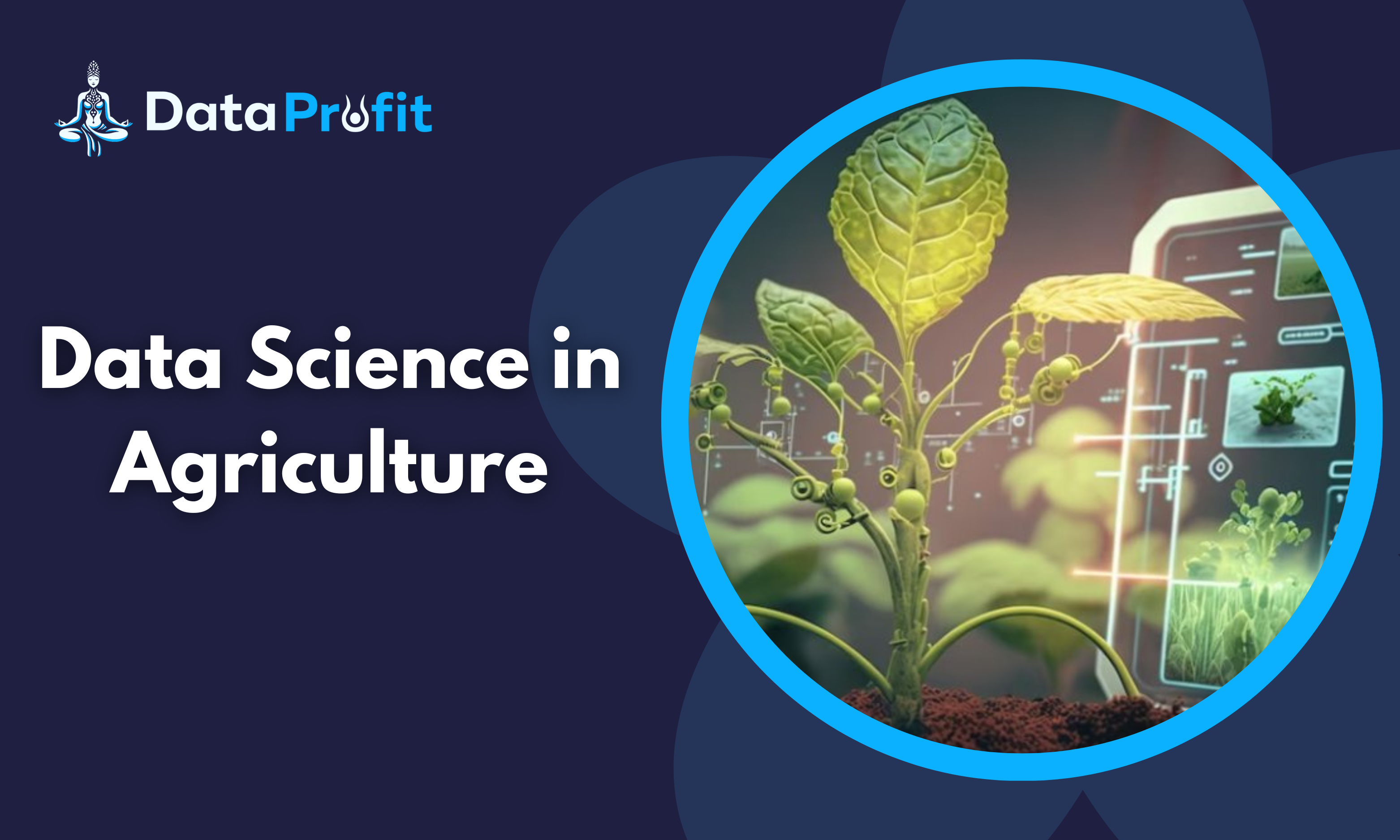 Future of Data Science in Agriculture in 2024