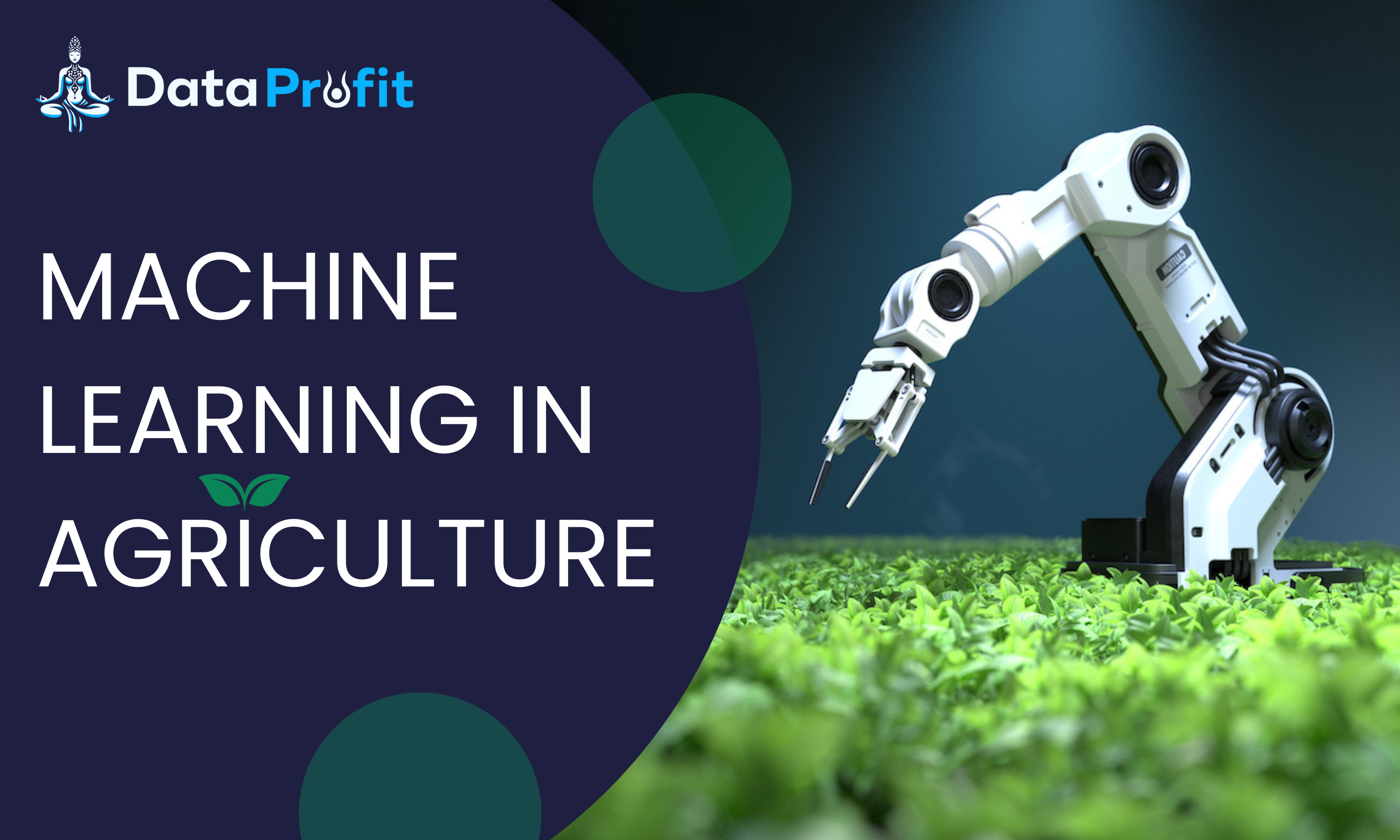 Machine Learning in Agriculture: Top Applications | Data Profit